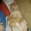 Tohle je m�j mil��ek Filip